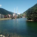 ���� Deniz Derler, �������, 45 ��� - ��������� 20 ������ 2016 � ������ ���� ����������