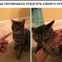 ���� �������, ��������, 53 ���� - ��������� 5 ������ 2016 � ������ ������ ��������