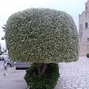 ���� �����, ������, 64 ���� - ��������� 26 ������� 2016 � ������ ������ ������� 2016�