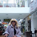 ���� ����, ����������� - ��������� 5 ������ 2016