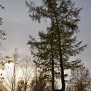 ���� �����, ����� ������� - ��������� 9 ������ 2016 � ������ �����-������߻