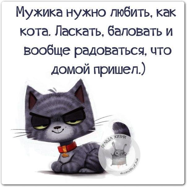 ������ ����� - 3 ������� 2016 � 12:51