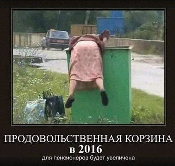 ������ - 14 �������� 2016 � 12:47