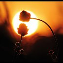 ��� ������ ���� - ������� �� ���. �� ������ �� ���������� - �� ��������. ��, ��� ��� ��� ����� � ��� ���� ����. ������ � �� ������� ���� ������. �� ������� ������ ��������