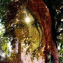 ���� Natali, �����-��������� - ��������� 5 ������� 2016 � ������ ������ ��������