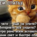 ���� ����, ������ - ��������� 3 ������ 2017 � ������ ���� ����������