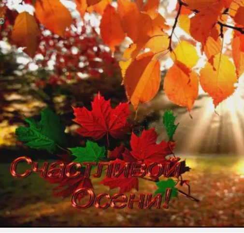  - 29  2016  08:15 - 4