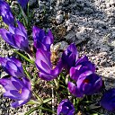 ���� �������, ������, 58 ��� - ��������� 14 ����� 2017 � ������ ���������� �����