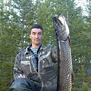 ���� ������, ����������, 54 ���� - ��������� 29 ������ 2016 � ������ ���� ����������