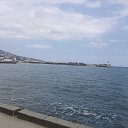 ���� ������, ������������, 41 ��� - ��������� 22 ����� 2017