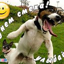 ���� ����x�, ����, 36 ��� - ��������� 1 ������ 2017 � ������ ������ ��������