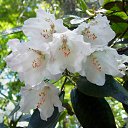 22.05.2016 �� ������� �������� ������������ ���.�