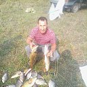      ,  , 50  -  23  2016    