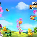 ���� ������, ��������, 53 ���� - ��������� 13 ����� 2017 � ������ �������� �������-�������