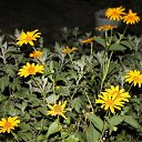 ���� �����, ��������������, 23 ���� - ��������� 3 ������� 2016 � ������ ���� ����������