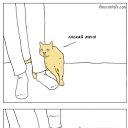 ...���)) �� ������� ������)))))�