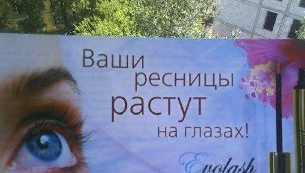 ,       . ,     ,   ...