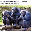 ���� �����, ������������, 58 ��� - ��������� 24 ������ 2016 � ������ ���� ����������