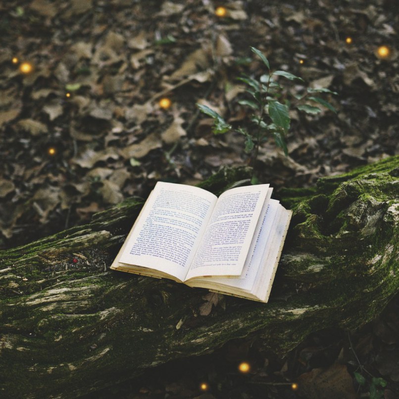 10 главных книг по саморазвитию, после которых думаешь «как жаль, что я не прочел это раньше!».1. ...