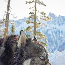  , -, 58  -  15  2016    