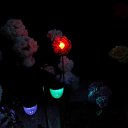 ���� �������, ������, 51 ��� - ��������� 11 ������� 2016 � ������ ����� 2016�