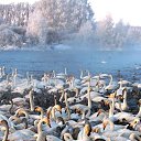 ���� ���������, �����, 61 ��� - ��������� 30 ����� 2017 � ������ ���� ����������