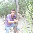 ���� ������, ������ - ��������� 29 �������� 2016 � ������ ���� ����������