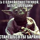 ���� Kriss, ���� - ��������� 2 ������ 2017 � ������ ������ ��������