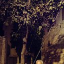 ���� ������, �����-���������, 61 ��� - ��������� 11 ����� 2017