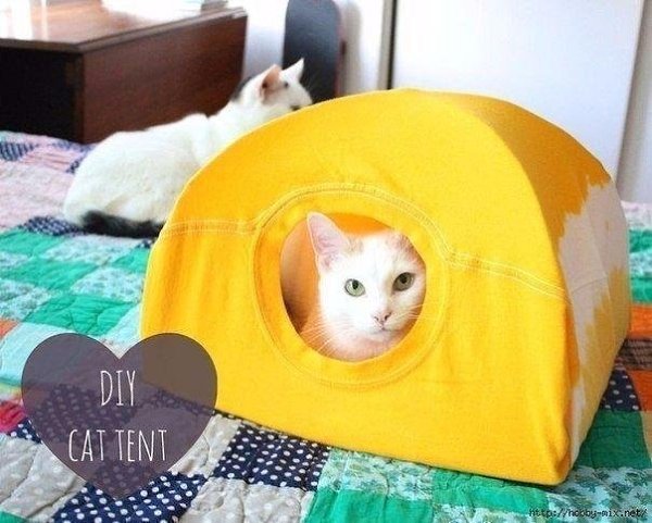 Фото из записи: