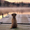 ���� M���, ���� - ��������� 15 ����� 2017 � ������ ������ ��������