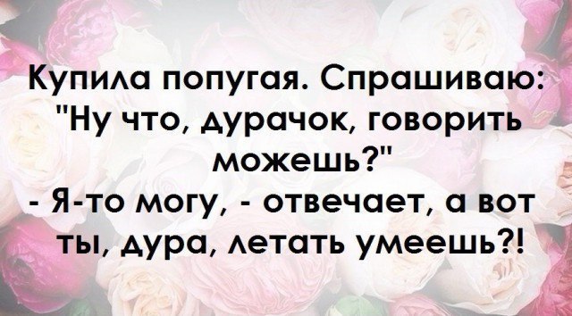 ������� - 2 ����� 2017 � 15:01