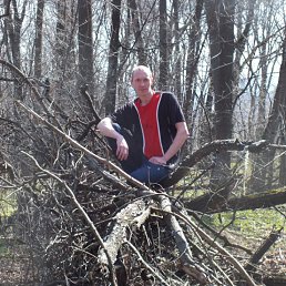 �����, �����, 43 ����