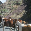 ���� �������, ���������, 57 ��� - ��������� 13 ������ 2016 � ������ �Timeline Photos�