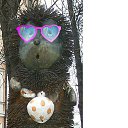 ���� ��� ����, ��������� - ��������� 18 ������� 2017 � ������ ���� ����������