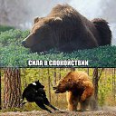 ���� �������, ����-����������, 50 ��� - ��������� 13 ������� 2016 � ������ ���� ����������