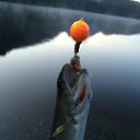 ���� �������, ������ - ��������� 17 ����� 2017 � ������ ���� ������� ����