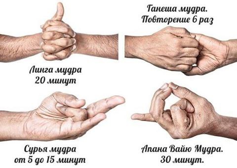    . 1.  .      20 .    ...