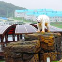 ���� Anatol, ������� - ��������� 5 ������� 2016 � ������ �����������. �. �������. �����������.�