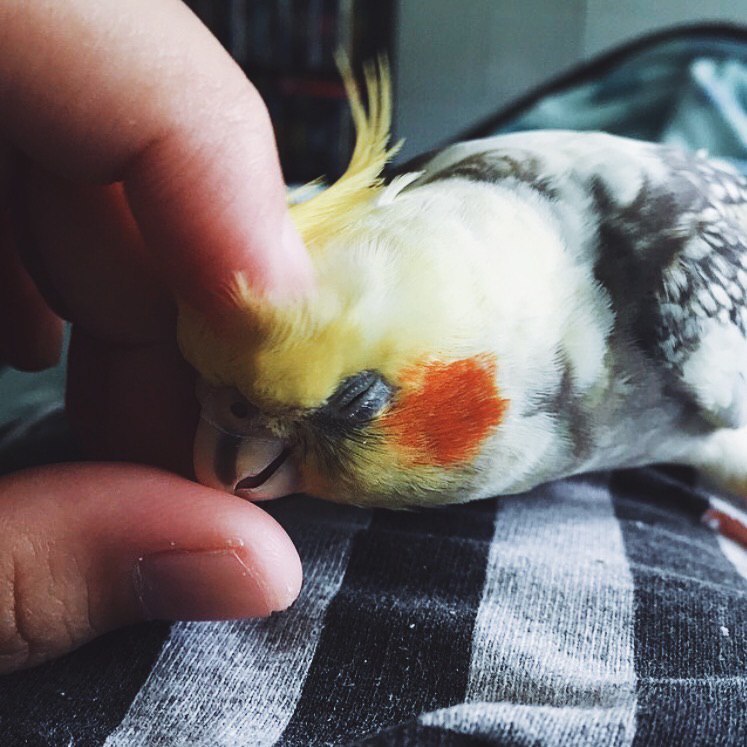   - 7  2016  10:23 - 2