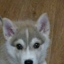 ���� �����, ������� - ��������� 21 ����� 2017 � ������ ������������ �������