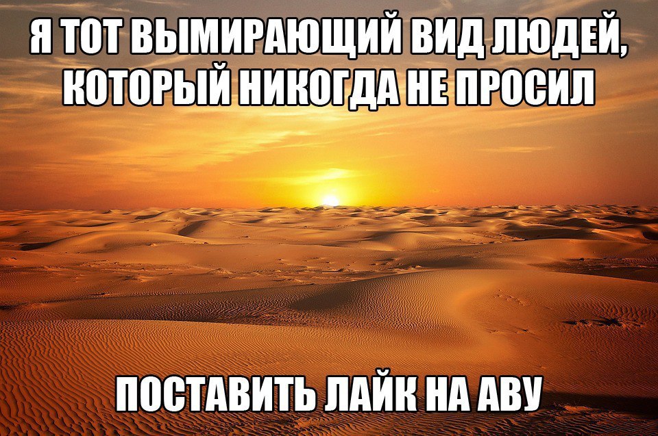 Эгоист опубликовал пост от 13 февраля 2017 в 22:55 | Фотострана | Пост ...