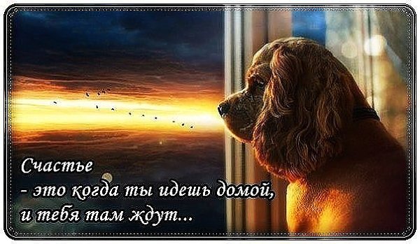 .Life.Is.Life. - 11  2016  07:16
