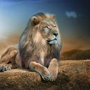  Peregrino, , 62  -  3  2017   Ȼ