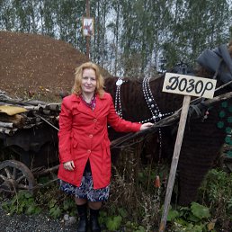 ���� ����, �����, 50 ��� - ��������� 8 ������ 2017