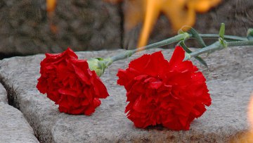 31 янв — РИА Новости. Полицейские начали проверку после того, как в интернете появился видеоролик, ...