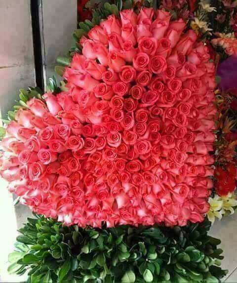 .   -Ѩ!!!! , ,  ....     ..... ...