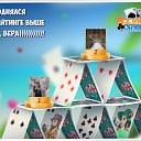 ���� ���, ���������, 68 ��� - ��������� 14 ������� 2017 � ������ �������� �������-�������