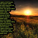 ���� ���������, ������, 44 ���� - ��������� 8 ������� 2016 � ������ ���� �����