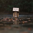 ���� Ҹ��, ���, 37 ��� - ��������� 6 ������� 2016